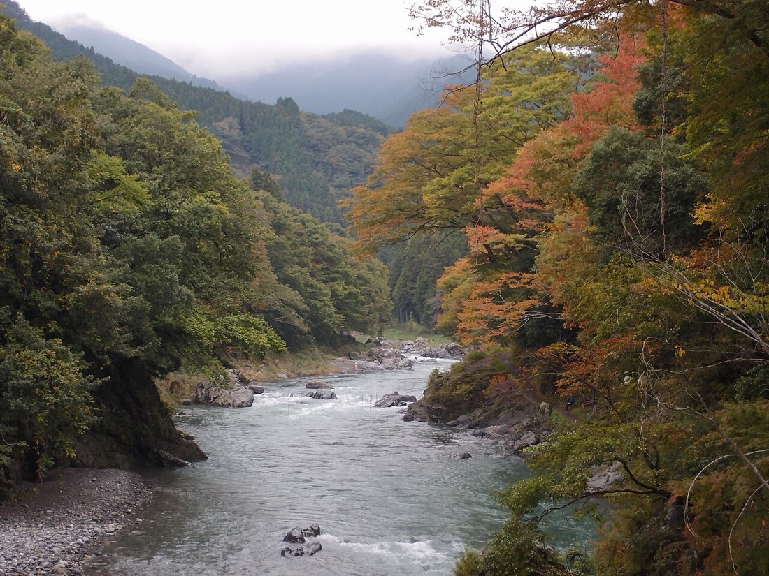 御岳溪谷的河流和秋日山林
